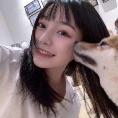 猎鹰行动内购破解版下载
